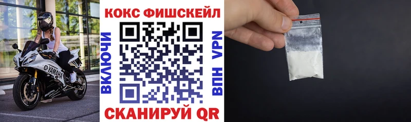 Cocaine Fish Scale  Купить где  Белая Холуница 