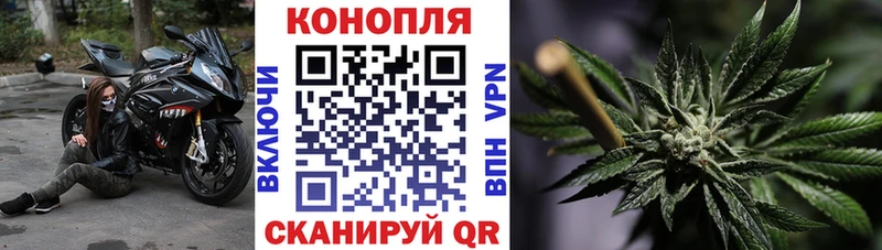 Канабис семена  Купить где  Белая Холуница 